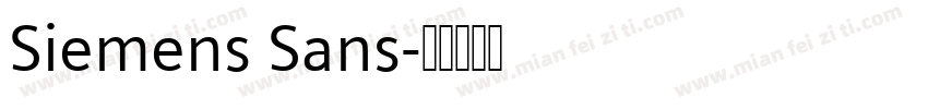 Siemens Sans字体转换